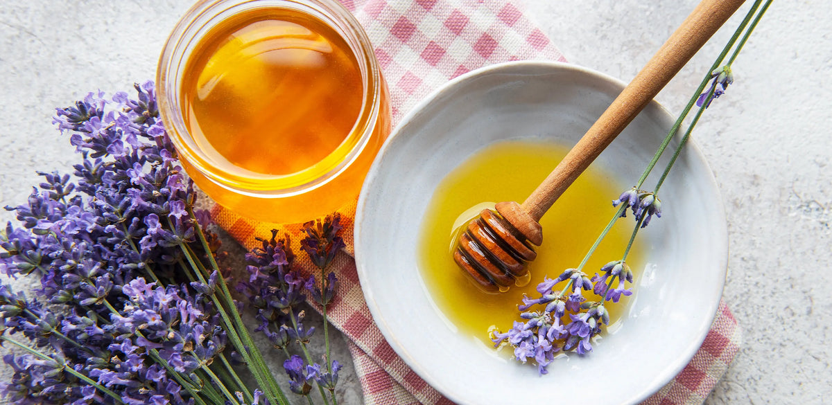 Bienfait Du Miel De Lavande Miel De Lavande Bienfaits & Apports Nutritionnels 3 Quels sont les bienfaits et les vertus du miel de lavande ? – la miellerie